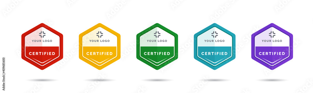 Set of company training badge certificates to determine based on criteria. Vector illustration certified logo design. - obrazy, fototapety, plakaty 