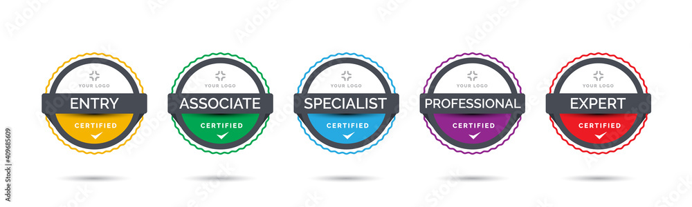 Set of company training badge certificates to determine based on criteria. Vector illustration certified logo with colorful line design. - obrazy, fototapety, plakaty 