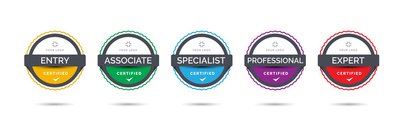 Wall Mural - set of company training badge certificates to determine based on criteria. vector illustration certi