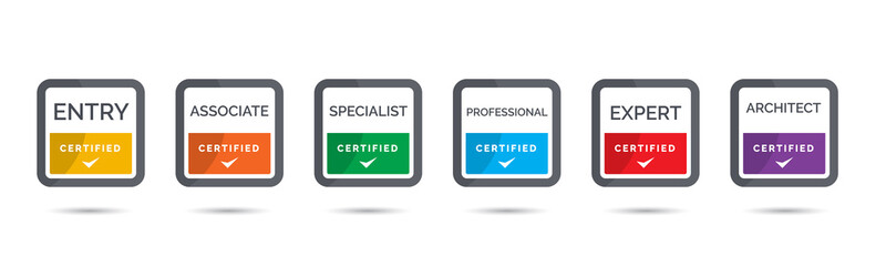 Wall Mural - set of company training badge certificates to determine based on criteria. vector illustration certi
