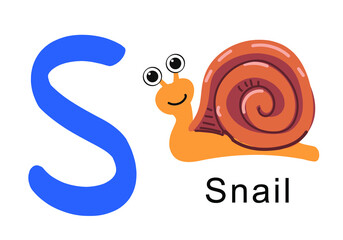 vector illustration of a snail with a letter S, animal alphabet