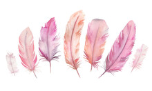 Watercolor Vibrant Feather Set. Hand Drawn Illustration On White Background