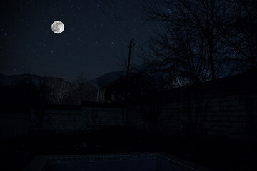 Wall Mural - Mystical landscape of Full Moon Rising over tall green meadow with trees at Forest; Skyline Silhouette