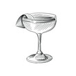 Hand drawn sketch of Cocktail drink in champagne saucer on a white background. Cocktail drinks. Drinks in cocktail glasses. Alcohol beverages
