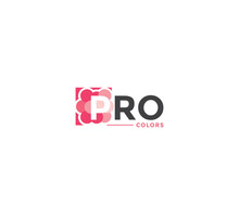 PRO Colors Company Business Modern Name Concept