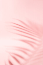 Abstract Vertical Background Of The Shadow Of A Palm Tree's Leaf In Coral Pink