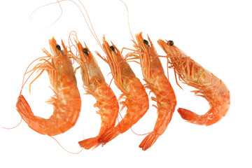 Wall Mural - fresh cooked shrimp isolated on white background