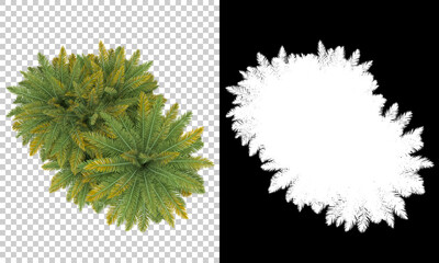 Palm trees isolated with mask. Image useful for banners, posters or photo manipulations. 3d rendering. Illustration