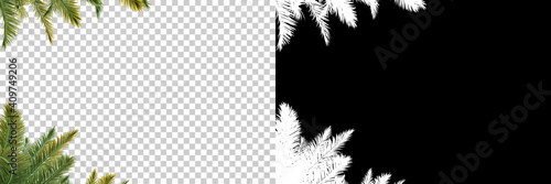 Palm trees isolated with mask. Image useful for banners, posters or photo man...