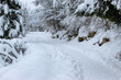 © Mahir - Snow trail on the mountain Trebević. Snowy pathway.