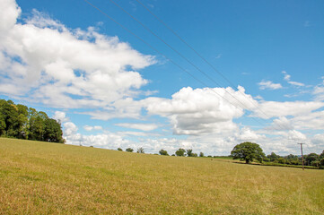 field and blue sky