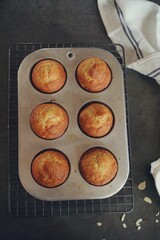 Wall Mural - Homemade Banana Muffins, selective focus