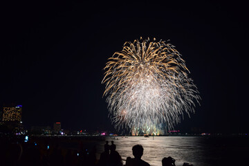 fireworks over the river