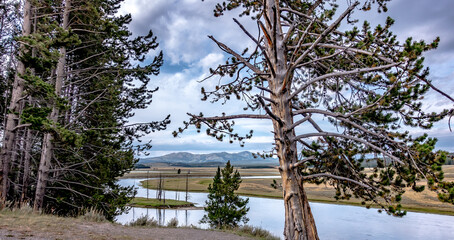 Wall Mural - Hayden Valley and Yellowstone River, Yellowstone National Park