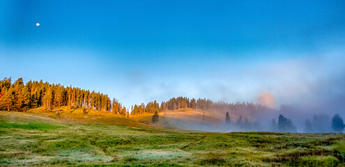 Wall Mural - Hayden Valley, Yellowstone National Park