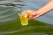 Global pollution of environment. A man collects green water with algae for analysis. Water bloom, phosphate pollution in the sea, lake, river, bad ecology