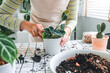 © joyfotoliakid - Asian Woman gardener potting new plant and Repotting pot for House plant .Plants care concept