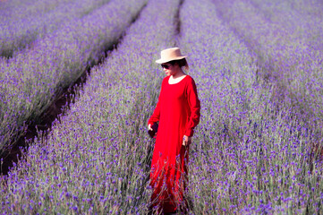 Wall Mural - The Asian woman wearing red dress in a lavender field,beautiful lavender flowers blooming in the garden.