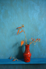 Still Life With Red Vase And Dry Chili Peppers Plant
