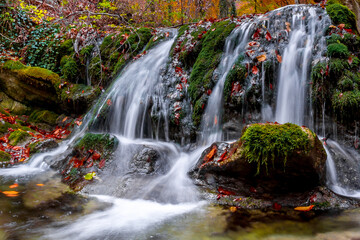 Sticker - Waterfall in the forest