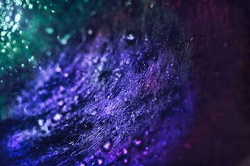 Poster - Beautiful abstract texture web. Background pattern for design. Macro photography view.