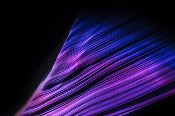 Fototapete - Close up Beautiful book pages in the blue light on a night. Background pattern for design. Macro photography view.