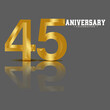© maksum - 45 Year Anniversary Vector Template Design Illustration