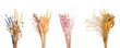 © New Africa - Set with beautiful decorative dry flowers on white background, banner design