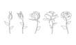 One line roses flower set. Abstract art, Hand drawn continuous line drawing of rose flowers. Rose tattoo minimalist illustration