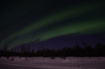 Wall Mural - aurora borealis, northern light on winter night sky in northern Norway