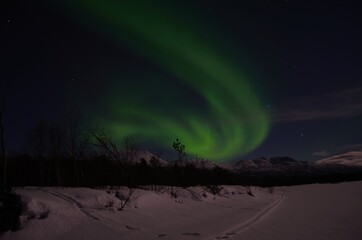 aurora borealis, northern light on winter night sky in northern norway