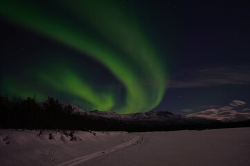 Wall Mural - aurora borealis, northern light on winter night sky in northern Norway