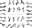 © Login - Set of hands showing different gestures. 3D vector design elements for web or presentation.