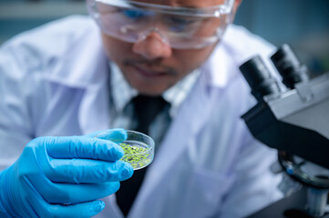 Wall Mural - health care researchers person working for analysis experiment test in medicine science technology r