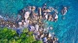 Fototapeta Do akwarium - Rainforest, rocks and corals - Fitzroy Island