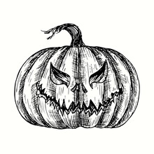 Halloween Pumpkin Jack-o-lantern. Ink Black And White Drawing. Vector Illustration