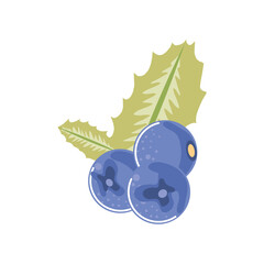 Sticker - blueberry fresh fruit icon isolated style