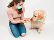 © trofalena - Female woman in medical protected face mask disinfects dogs paws with a sanitizer. A dog smile looks at camera with mask isolated on white background. Pets hygiene concept