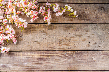  Spring flowering branch on wooden background