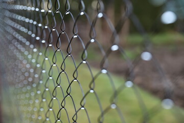 water drops on a wire