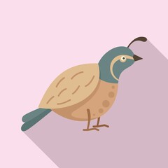 Poster - Quail farm icon. Flat illustration of quail farm vector icon for web design