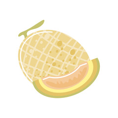 Sticker - melon fresh fruit icon isolated style