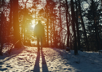 Young man walking in winter forest path from back at sunset. Czech republic