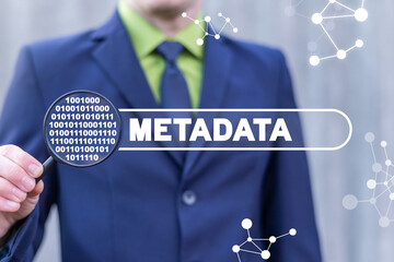 Wall Mural - information technology concept of metadata. web meta data search. digital security.