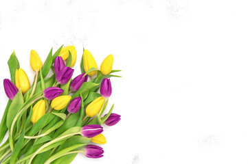 Poster - Fresh tulips purple yellow Spring flowers