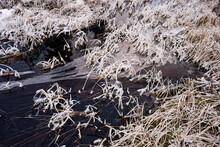 Frozen Brook Running Through The Marshlands In Winter