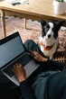 © Joy Zamora/ADDICTIVE STOCK - From above of crop blurred female freelancer working on laptop in room with adorable Border Collie dog relaxing on carpet