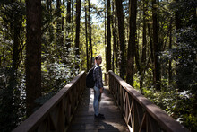 Side View Of Young Ethnic Female Tourist Standing On Wooden Bridge In Green Forest Looking At Camera During Vacation In Alishan Township