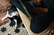 © Joy Zamora/ADDICTIVE STOCK - From above of crop blurred female freelancer working on laptop in room with adorable Border Collie dog relaxing on carpet