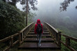 © Juan Alberto Ruiz/ADDICTIVE STOCK - Low angle back view of unrecognizable tourist in raincoat and with backpack walking on pedestrian bridge leading through dense green woods in rainy day